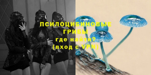 спиды Нефтекумск